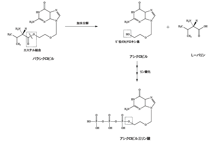 解説画像